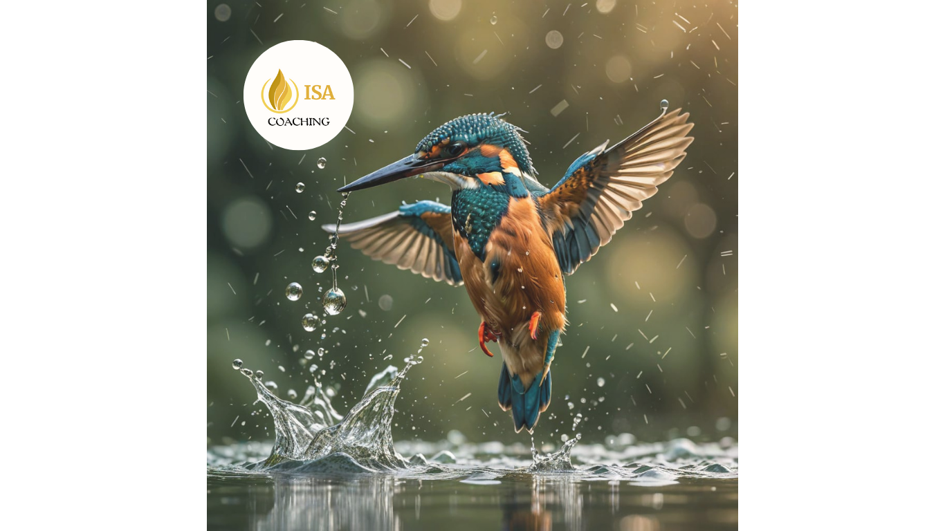 coaching hélico par ISA