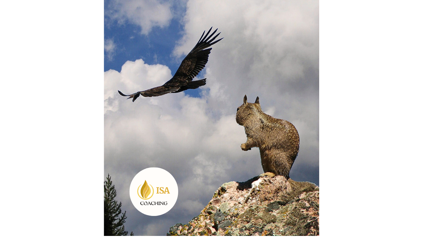 rôle du COACH par ISA